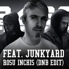 Rosu Inchis ft. Junkyard (Drum & Bass Edit)