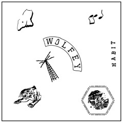 Wolfey - Habit (ASL008)