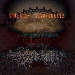 RadioactiveChernobylCircusSpectacular