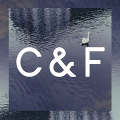 Capture & Feel Series : #5 - Mixed by Guffstar