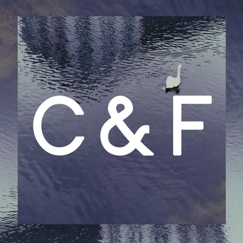 Capture & Feel Series : #5 - Mixed by Guffstar