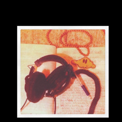 Save Me by @_joseph_sd