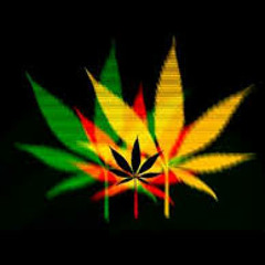 Dirty Skank Beats - Supa Squad (Raggatek)