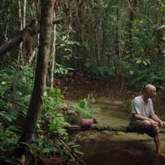 This Is The Way The World Is (featuring Jim Jarmusch)