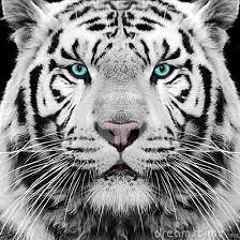 Izzy Bizu - White Tiger (Hidden Cave Bootleg).
