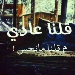 مجوود