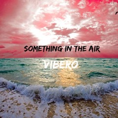 EleX - Something In The Air (Vibero edit)