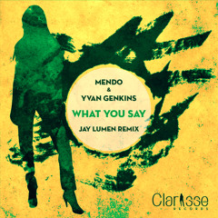 Mendo & Yvan Genkins - What You Say (Original / Jay Lumen What U Hear rmx) [Clarisse Records CR043]