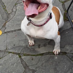 Change (Song for Pinto)