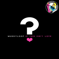 Muddyloop - If This Isn't Love (Joeblack 'Boogie' Remix) (Preview)