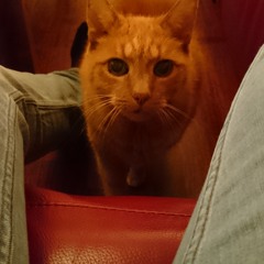 Ed Sheeran - Thinking Out Loud (Cover)