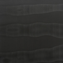 elisabeth dixon_(DISCIPLINE)