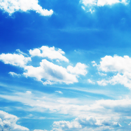 2023 Welcome to the Oasis Bangerzzz