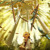 Artwork for Strings and Flute, Uplifting