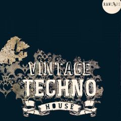 Raw Loops - Vintage Techno House - Sample Pack Audio Demo