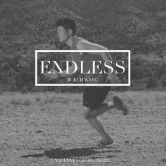 Endless - Burch (Valiant Vermin Remix)