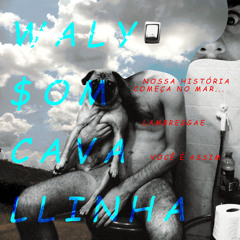 Walyson Cavallinha - Lambreggae