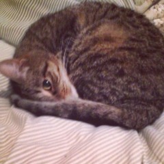 I Can't Keep My Eyes Off You - Kevin Lemieux