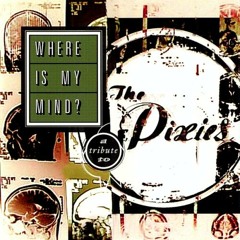 Where Is My Mind (Pixies)