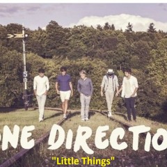 Little Things - One Direction (cover)