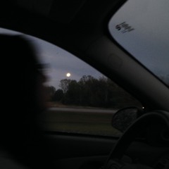 falling in love again (joyce manor) cover