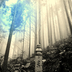 A Trainee Monk (Acoustic)