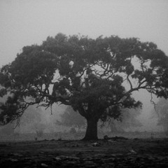 Thoughts Of A Letter (Cypher 46)