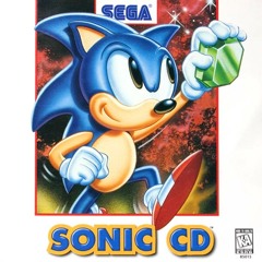 American Hedgehog