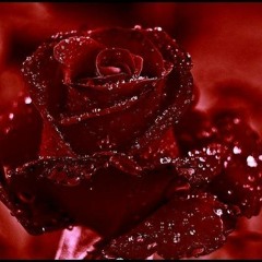 Grup düş gel etme (orjinal)