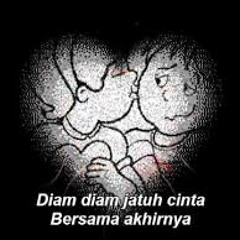 Diam - Diam Jatuh Cinta [Remix]