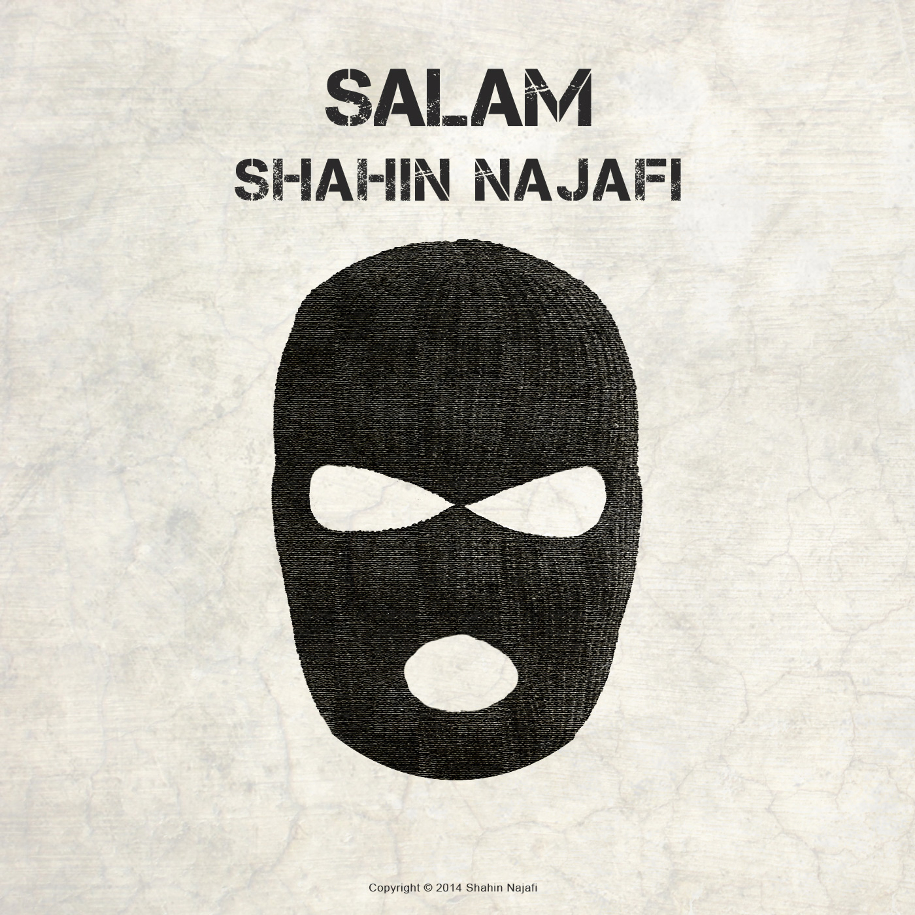 ShahinNajafi