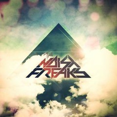 The Noisy Freaks - Fast Chased(Original Mix)