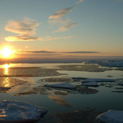The Arctic Ocean Mix by Olga Kouklaki for G-Star raw for the Oceans (Curated by Pharell Williams)