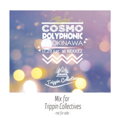 02 Mix for "TRIPPIN COLLECTIVES" -BOOTBEAR side-
