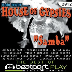 Todd Terry, House Of Gypsies - Samba (Julian Mc Cain Remix)SNIPPET