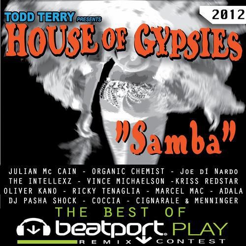 Todd Terry, House Of Gypsies - Samba (Julian Mc Cain Remix)SNIPPET