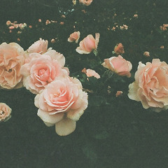 Love Like Birds - Cold Ground