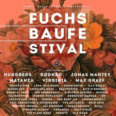 Hendrik @ Fuchsbau Festival 2014