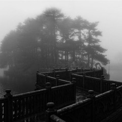 青木ヶ原