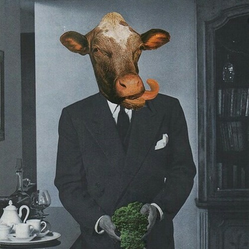Jaydan - Who Are You VIP