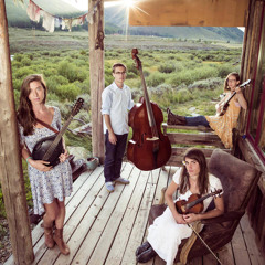 Free the Honey - Live In-Studio 11.19.14