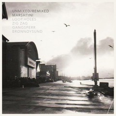 14 Rob O - Microphonist Wonderlust (Marshtini Remix)