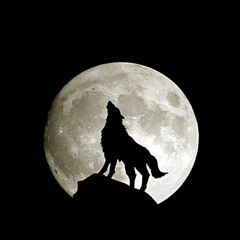 Howl At The Moon - STANNARD