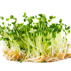 Young Ft. MadFlo & MikeCraftsman