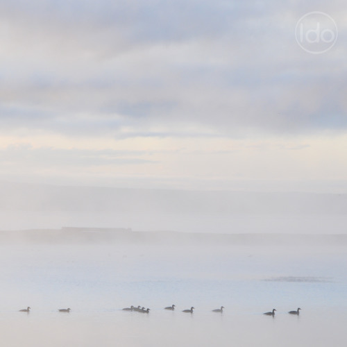 ЦАГААН СУВАРГА -Н. ЖАНЦАННОРОВ