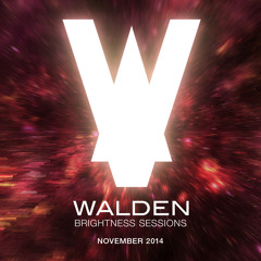 Walden's Brightness Sessions | Nov 2014