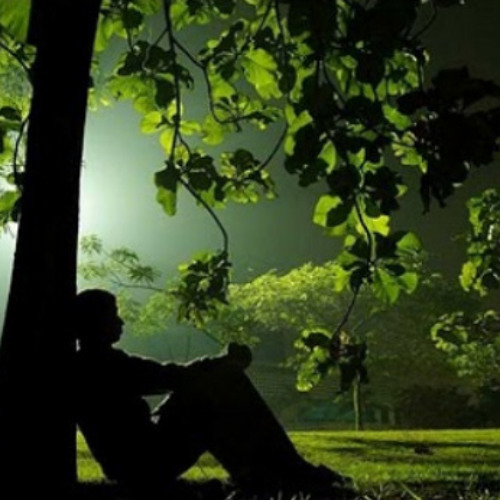 Nhớ Về Em- Quang Lê