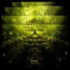 Flooded Grasslands (Ecosystems Promo Track)