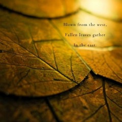 Sad Happyness- naviarhaiku046