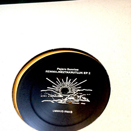 Minolta (Rayko Remix) - Pajaro Sunrise